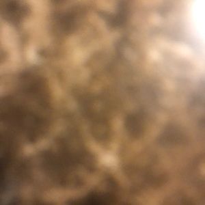 Meet your Posher, Tevin